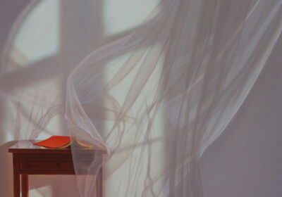 Braun mit rotem Buch, 2023, 100x140