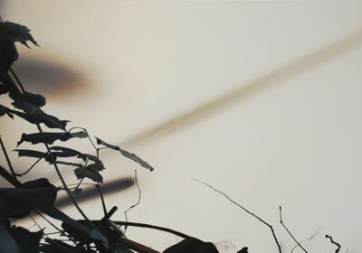 „Herbstrose“ 2007, Öl auf Leinwand, 130 x 200