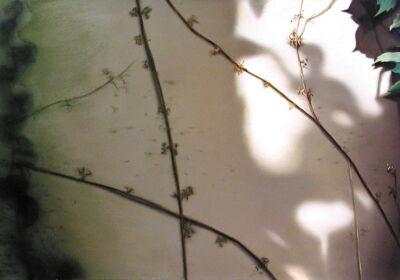 Wein II, 2001, 90 x 130