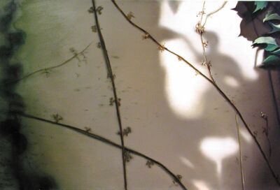 „Wein I“  2001, Öl auf Leinwand, 90 x 130