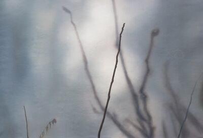 „Vergessenes Eck I“  2009, Öl auf Leinwand, 110 x 150