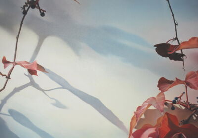 „Roter Wein“ 2004, Öl auf Leinwand, 70 x 100