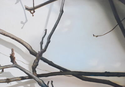 Bare Branches 2, 2007, 60x80