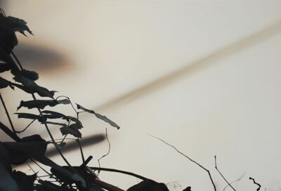 „Herbstrose“ 2007, Öl auf Leinwand, 130 x 200